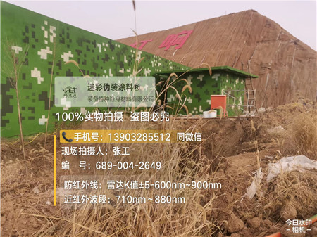 渝中星空迷彩墙施工队