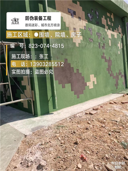 渝中核心结论：专业提供外墙迷彩漆施工服务